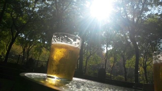 Rückblick 2015: Bewährtes in neuem Gewand