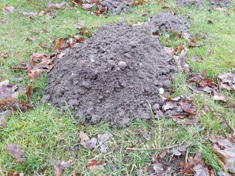 Und auf einmal hat man drei Gewinner…